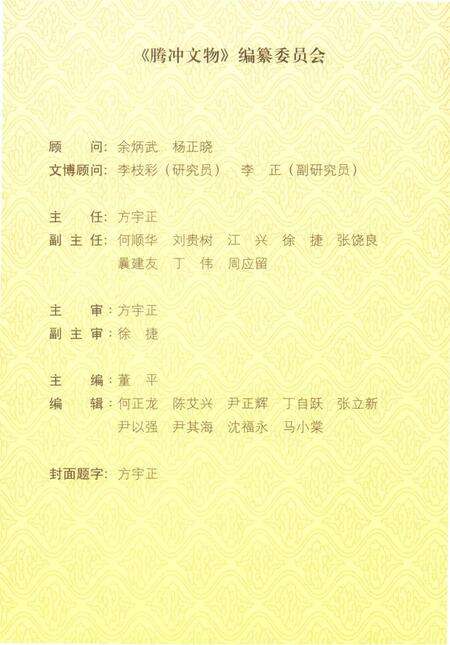 腾冲文物.pdf电子版_云南省志预览图4