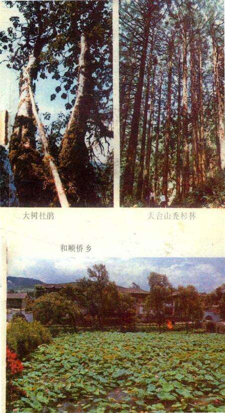 腾冲风情录.pdf电子版_云南省志预览图4