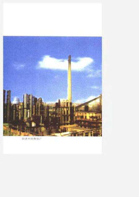 莱钢志  焦化厂志  1996-2000.pdf电子版_山东省志预览图4