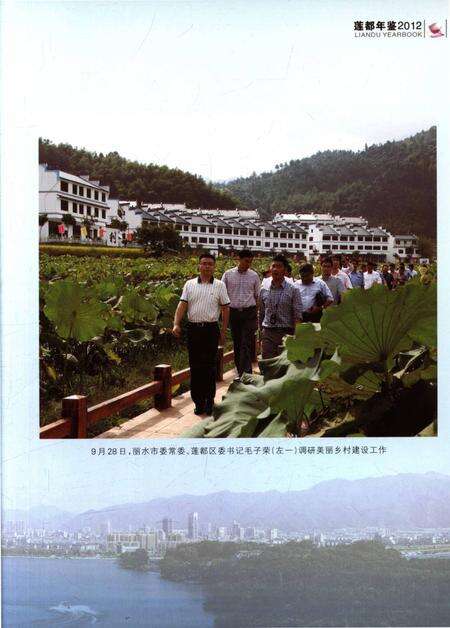 莲都年鉴-2012.pdf电子版_浙江省志预览图4