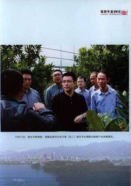 莲都年鉴-2013.pdf电子版_浙江省志预览图4