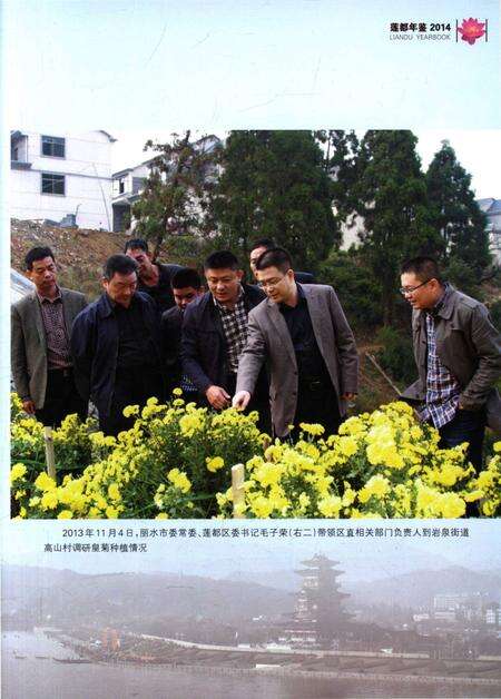 莲都年鉴-2014.pdf电子版_浙江省志预览图4