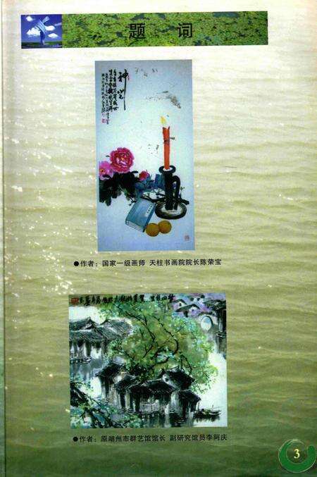 菱湖镇志-上.pdf电子版_浙江省志预览图4