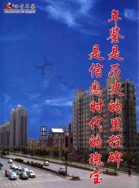 西青年鉴2012.pdf电子版_天津市志预览图4