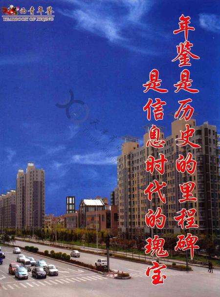 西青年鉴2013.pdf电子版_天津市志预览图4