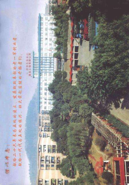 铁道部第五工程局第五工程处志-1974-1999-nan-nan.pdf电子版_其他志预览图4