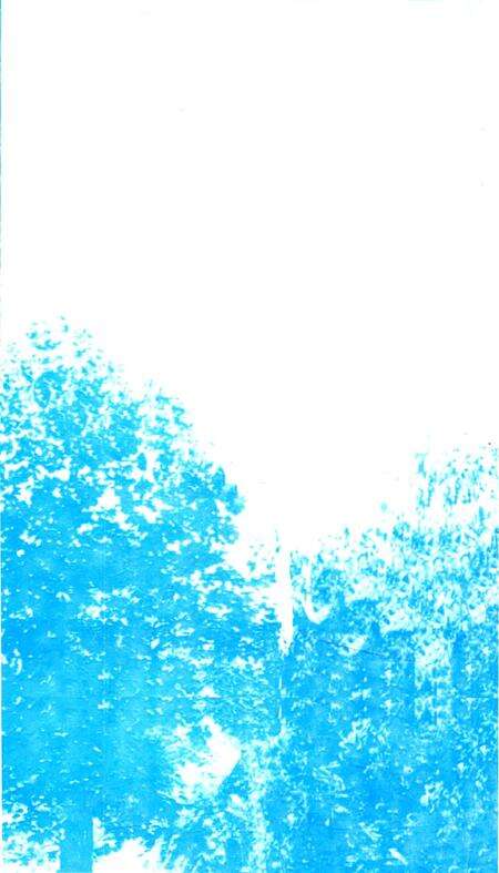 阜阳古树名木.pdf电子版_安徽省志预览图4