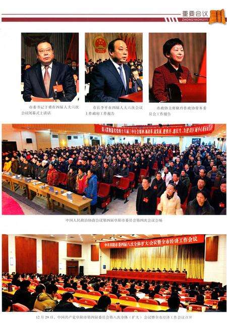 阜阳年鉴 2015.pdf电子版_安徽省志预览图4