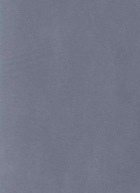 防城港公安志.pdf电子版_广西壮族自治区志预览图4