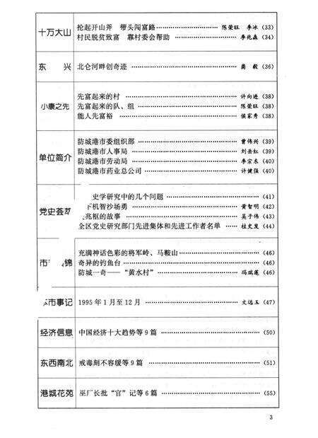 防城港史志.1996.1.pdf电子版_广西壮族自治区志预览图4