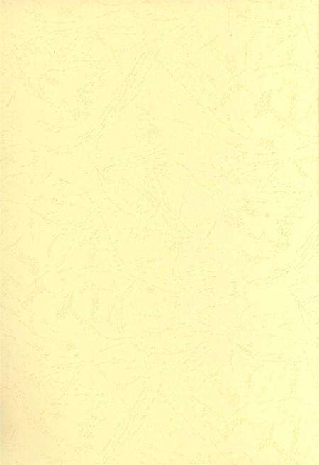 防城港文化遗产从书.历文化遗产部分.pdf电子版_广西壮族自治区志预览图4