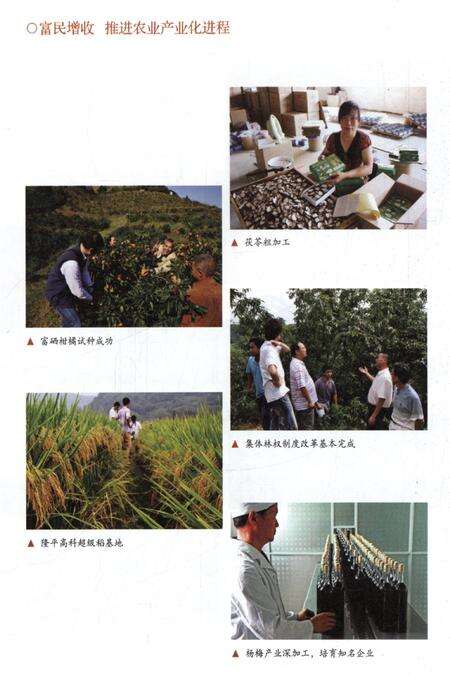 靖州三十年.pdf电子版_湖南省志预览图4