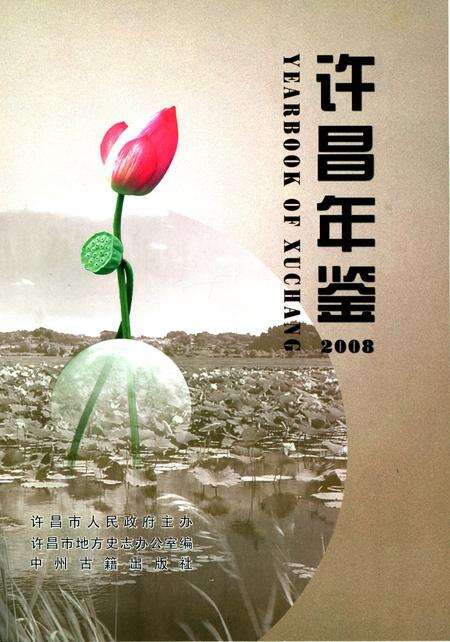 许昌年鉴2008.pdf电子版_河南省志预览图4