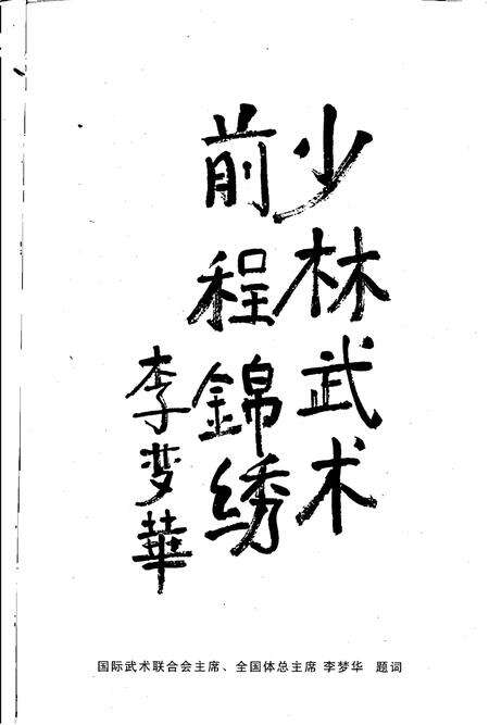 中国嵩山少林寺武术学校志.pdf电子版_河南省志预览图4