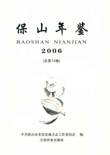 保山年鉴.2006.pdf电子版_云南省志预览图4