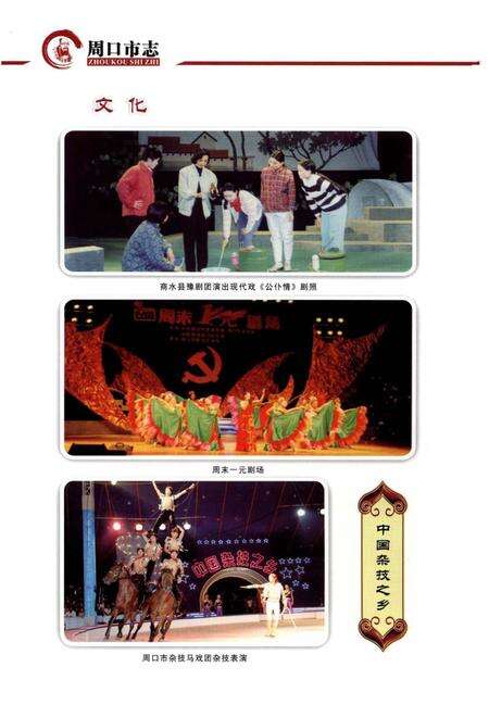 周口市志 下册.pdf电子版_河南省志预览图4