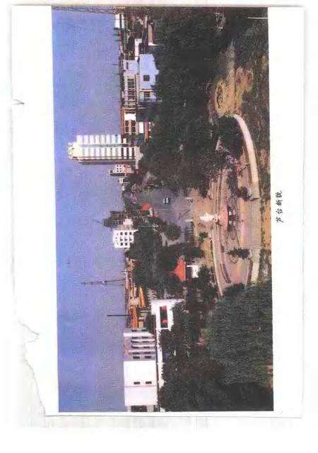 宁河文史资料  第4辑  7·28大地震二十周年.pdf电子版_天津市志预览图4