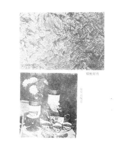 安庆地区土物产.pdf电子版_安徽省志预览图4