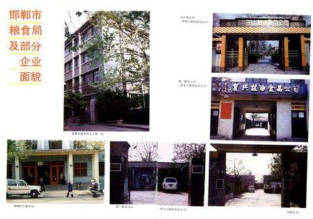 邯郸市粮食志：1890-1985.pdf电子版_河北省志预览图4