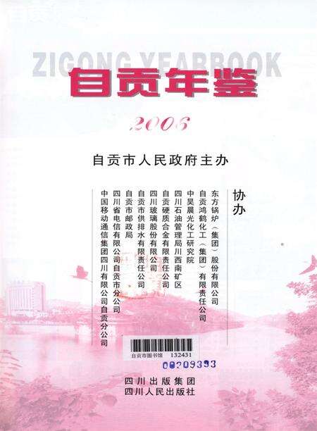 自贡年鉴2006.pdf电子版_四川省志预览图4