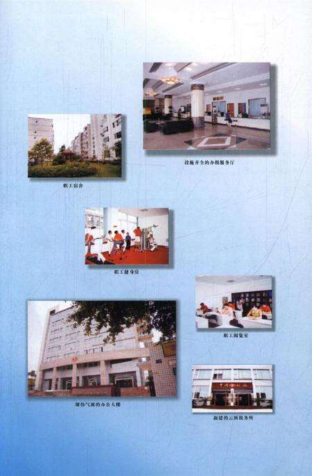 隆昌县地方税务志.pdf电子版_四川省志预览图4