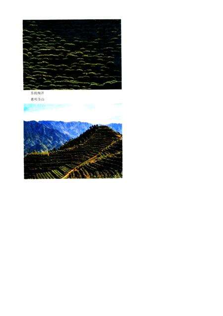 1986-景宁畲族自治县概况.pdf电子版_浙江省志预览图4