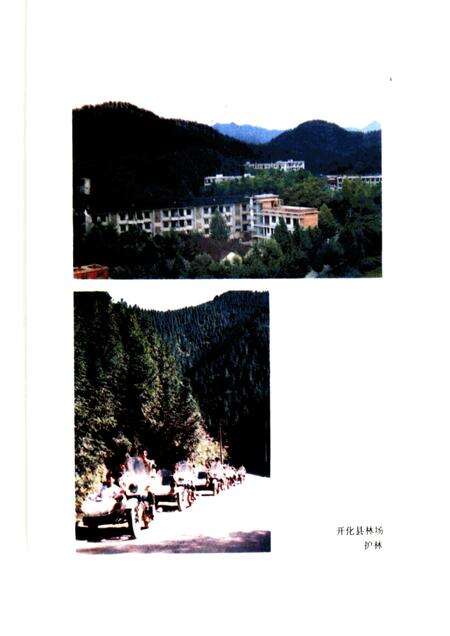 1988-开化林业志.pdf电子版_浙江省志预览图4