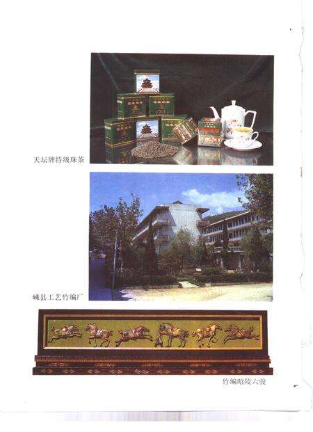 1989-嵊县志.pdf电子版_浙江省志预览图4