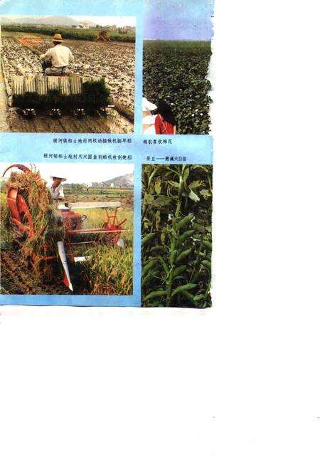 1991-慈溪农业志.pdf电子版_浙江省志预览图4