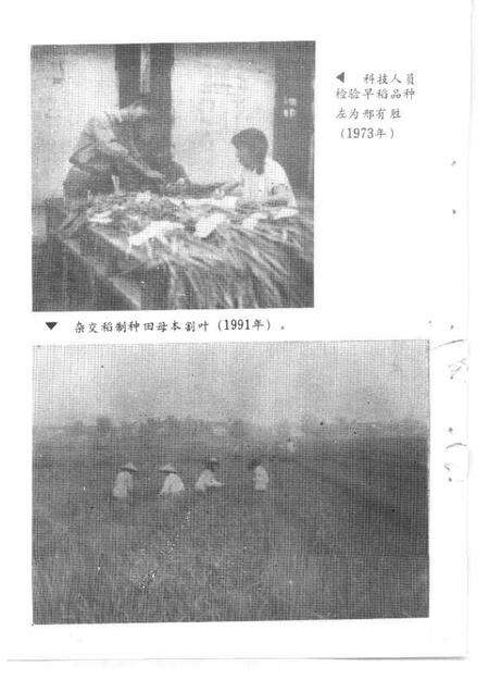 1994-建德文史资料  第11辑  农业专辑.pdf电子版_浙江省志预览图4