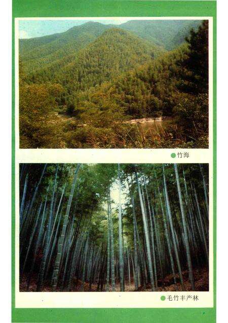 1996-湖州市志丛书  湖州市林业志.pdf电子版_浙江省志预览图4