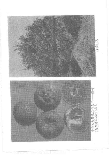 1997-台州文史资料.pdf电子版_浙江省志预览图4