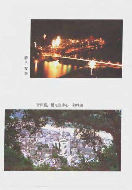 1998-青田县广播电视志.pdf电子版_浙江省志预览图4