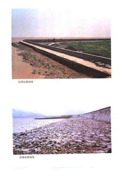 1999-苍南县水利志.pdf电子版_浙江省志预览图4