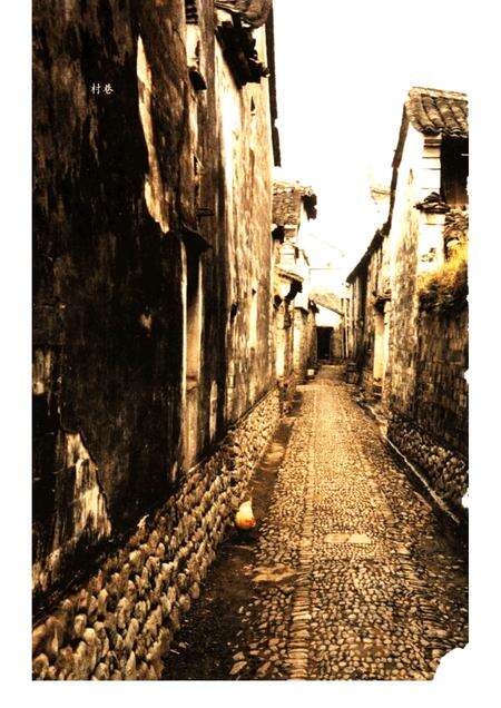 2005-宁海古村落.pdf电子版_浙江省志预览图4