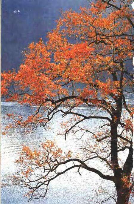 2005-宁海名胜.pdf电子版_浙江省志预览图4