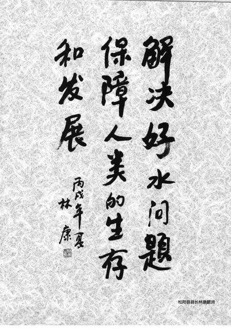 2006-松阳县水利志.pdf电子版_浙江省志预览图4