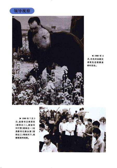 2007-富阳市水利志.pdf电子版_浙江省志预览图4