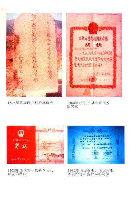 2008-兰溪林业志.pdf电子版_浙江省志预览图4