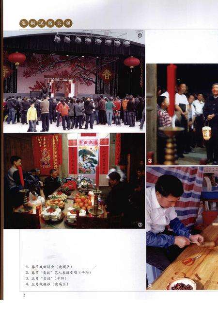 2008-温州民俗大观.pdf电子版_浙江省志预览图4