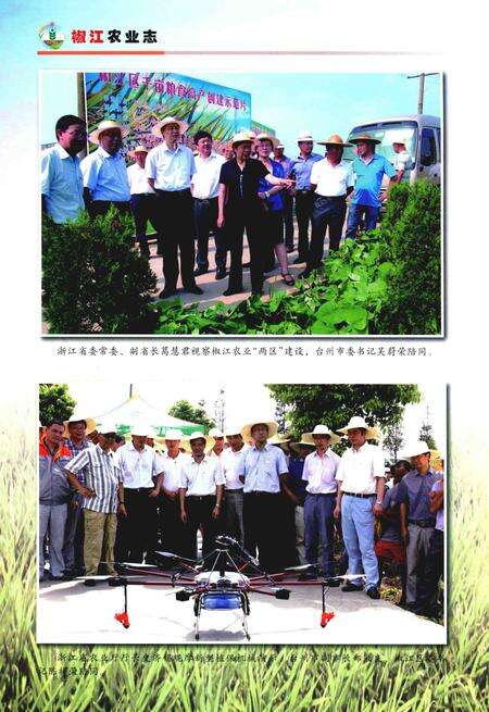 2015-椒江农业志.pdf电子版_浙江省志预览图4