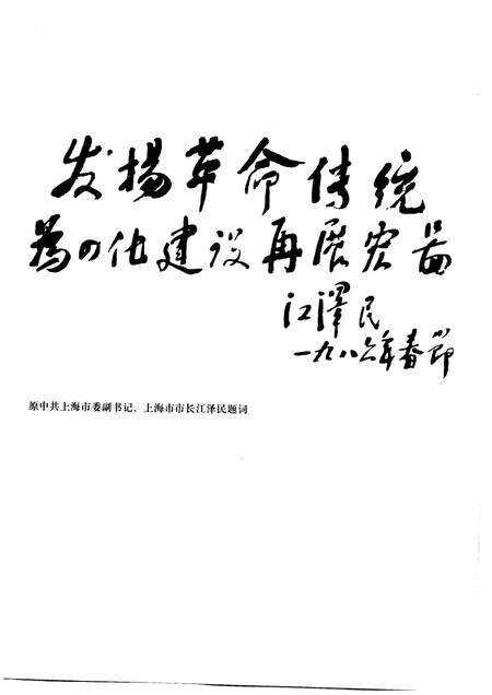 上海杨树浦发电厂志  1911-1990.pdf电子版_上海市志预览图4