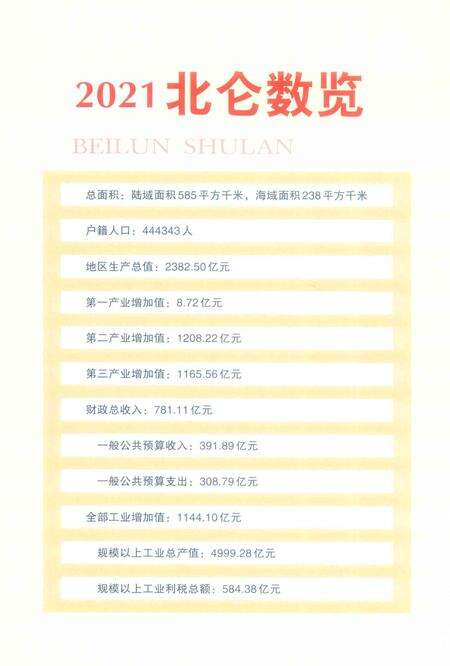 北仑年鉴2022-宁波市北仑区人民政府地方志力公室 编-2022.12.pdf电子版_浙江省志预览图4