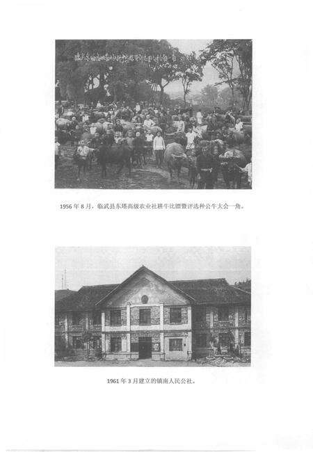 中国共产党临武历史第二卷（1949—1978）.pdf电子版_湖南省志预览图4