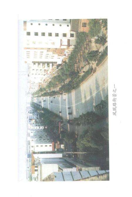 中国共产党永州市凤凰园经济开发区委员会组织史资料（1988～1999）.pdf电子版_湖南省志预览图4