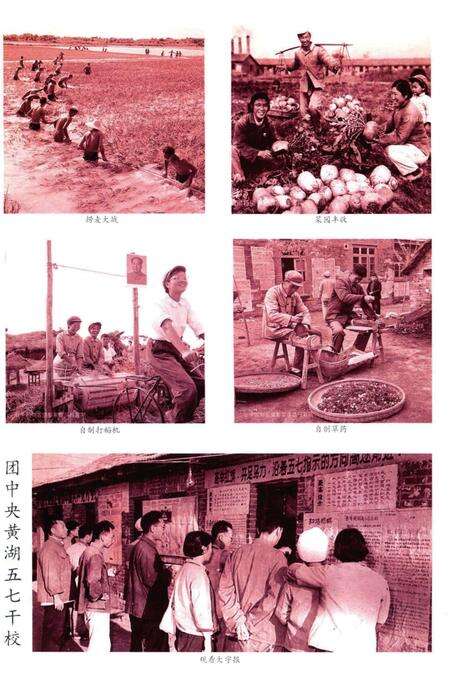 五七干校在信阳 信阳文史资料第九辑（上）.pdf电子版_河南省志预览图5