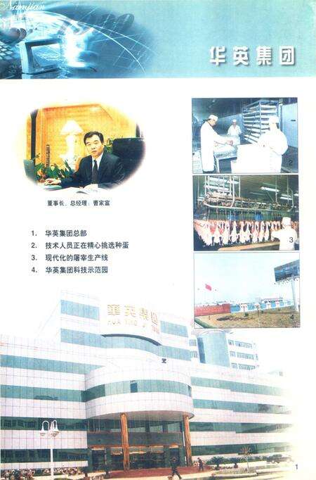 信阳统计年鉴1999年.pdf电子版_河南省志预览图5