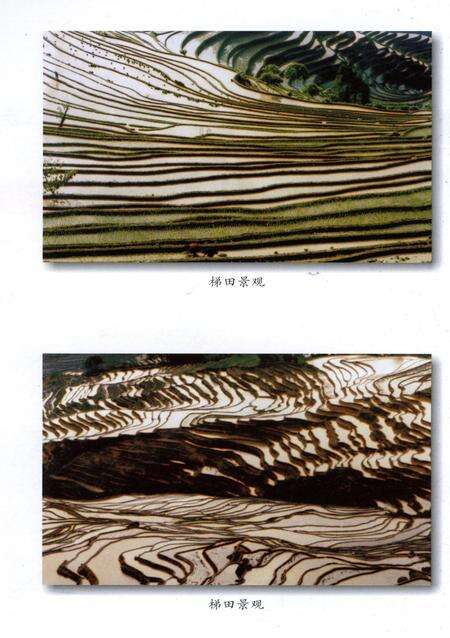 元阳文史资料选辑（第四辑）.pdf电子版_云南省志预览图5