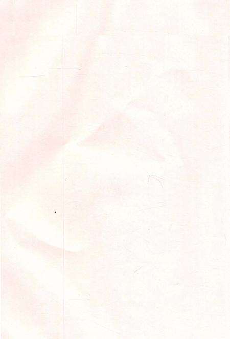 北湖年鉴 (2011).pdf电子版_湖南省志预览图5