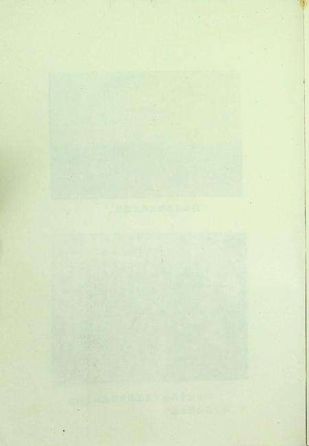 和龙党史资料第一辑（1991年5月）.pdf电子版_吉林省志预览图5